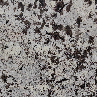 Splendor White stone texture